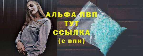 apvp Алзамай