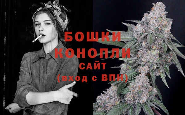 PSILOCYBIN Аркадак