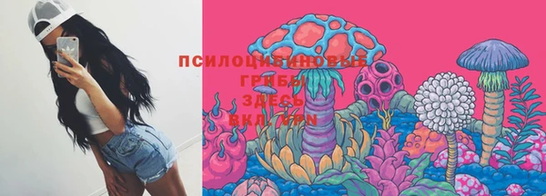 apvp Алзамай