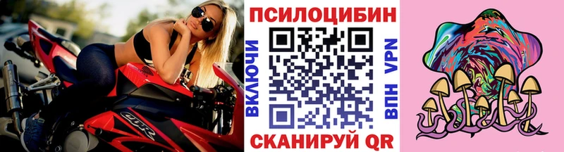где продают наркотики  Миньяр  Галлюциногенные грибы GOLDEN TEACHER 